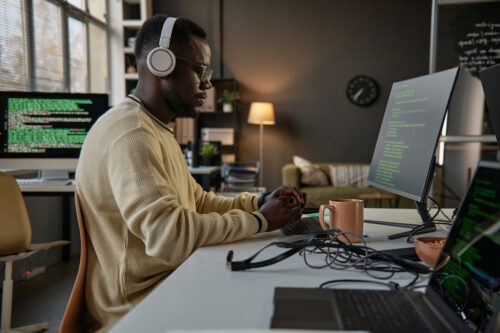 Software Developer Fixing Bugs